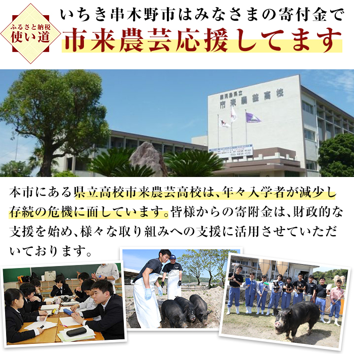 地元の高校生が育てた鹿児島県産黒豚「金の桜黒豚」使用！煮込みハンバーグ(180g×3個)と豚丼(180g×3袋)詰め合わせギフトセット！豚 豚肉 肉 鹿児島 国産 黒豚 調理済 レンジ 時短 調理 豚丼 ハンバーグ 惣菜【エーエフ企画】【00-057-35】