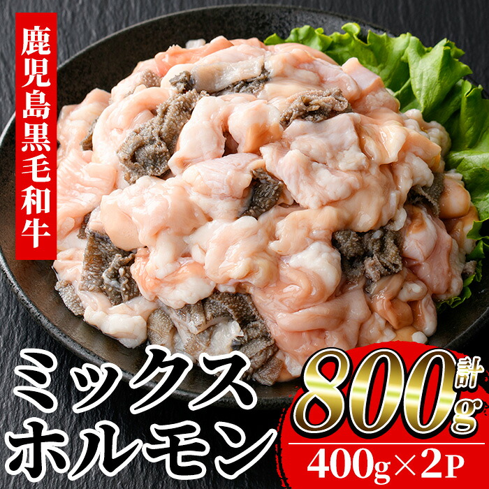 ≪数量限定≫黒毛和牛ミックスホルモン(計800g・400g×2P) 牛肉 焼き肉 ホルモン炒め モツ もつ 内臓 国産 九州 肉 和牛 牛 贈答品 ギフト【バクロ】【00-030-04】