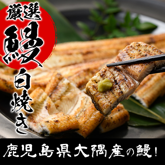国産うなぎ(鹿児島県産うなぎ)白焼き(大サイズ3尾・計約480g・タレ付き) 国産 国産魚 九州産 鹿児島県産 魚 魚介 鰻 うなぎ ウナギ 白焼き 惣菜 冷凍【南竹鰻加工】【00-025-08】
