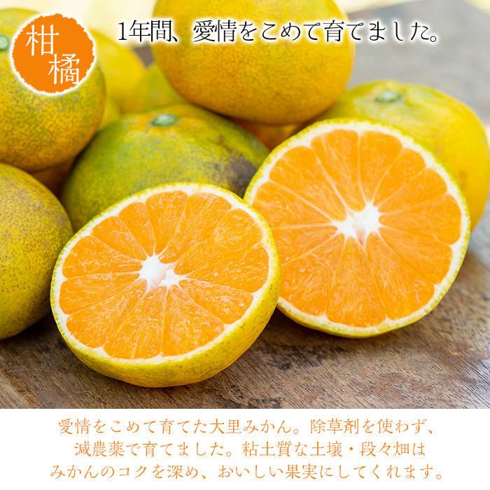 大里みかんジャム(140g×3本) ジャム 手作りジャム マーマレード 濃厚 みかん ミカン 蜜柑 フルーツ 果物 朝食 パン 鹿児島 常温 贈答 プレゼント【森の蔵農園】【00-072-01】