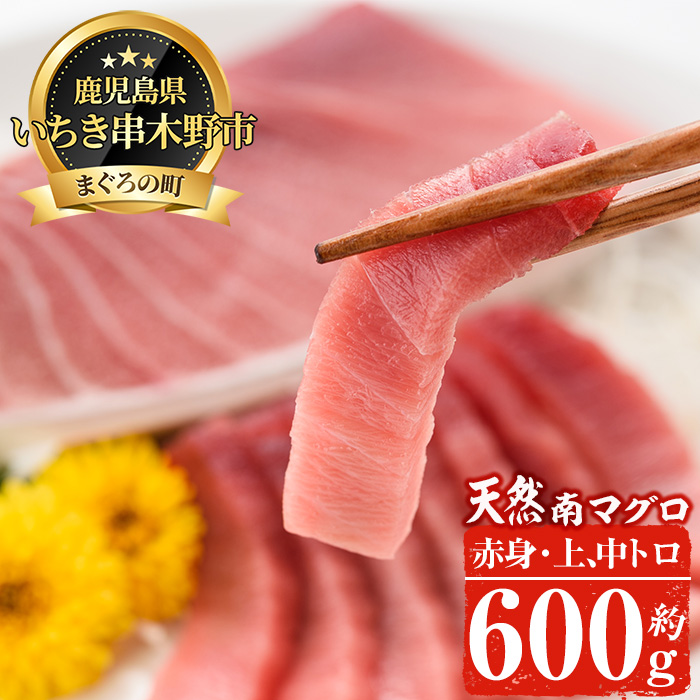 南マグロ堪能セット！上とろ、中とろ、赤身の鮪刺身用柵(計約600g) まぐろ 鮪 南まぐろ 南マグロ 上とろ 中とろ 魚介 刺し身 刺身 刺身用 さしみ サク 海鮮丼 小分け 便利 冷凍 希少 新鮮 食べ比べ【新洋水産】【00-019-02】