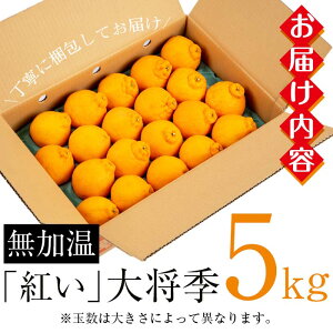 ＜先行予約受付中＞《期間限定・数量限定》JAさつま日置産無加温大将季(約5kg) 国産 鹿児島県産 だいまさき みかん ミカン 蜜柑 柑橘 冬季 果物 フルーツ 常温 常温配送 常温保存【JAさつま日置北部営農センター】【01-039-03】