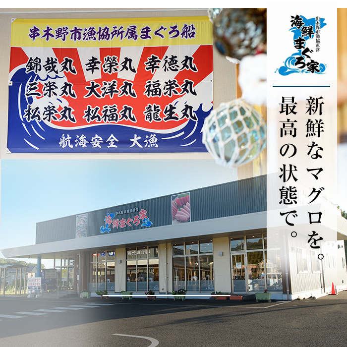 最高級の天然南まぐろ 中トロ・赤身セット(合計約400g) マグロ 鮪 まぐろ 魚介 海鮮 海鮮丼 南マグロ 【海鮮まぐろ家】【00-041-03】