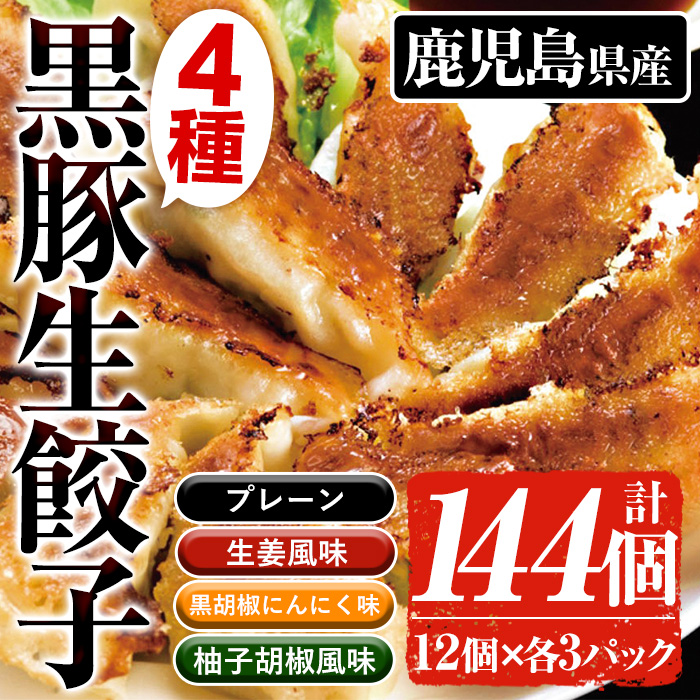 鹿児島黒豚生餃子4種食べ比べセット(計144個・12個×各3P) 国産 九州産 鹿児島県産 黒豚 餃子 ギョウザ おかず 惣菜 弁当 焼くだけ 小分け 簡単 時短 詰合せ 詰め合わせ 冷凍 冷凍食品【鹿児島協同食品】【00-008-10】