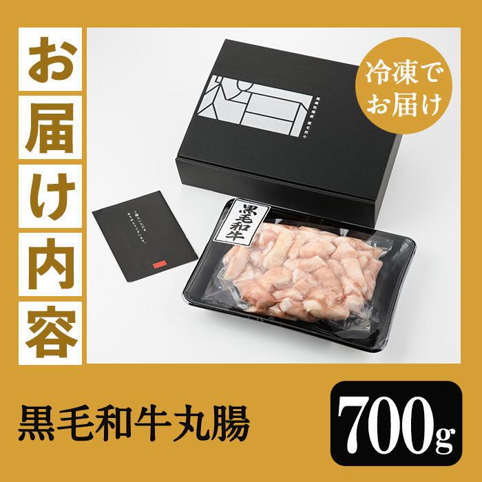【厳選！】鹿児島県産黒毛和牛 丸腸 (計700g) 冷凍 まるちょう ホルモン もつ鍋 焼肉 牛肉 肉 もつ モツ 内臓 国産牛 モツ鍋 もつなべ 九州 国産 ギフト 黒毛和牛【バクロ】【00-030-12】