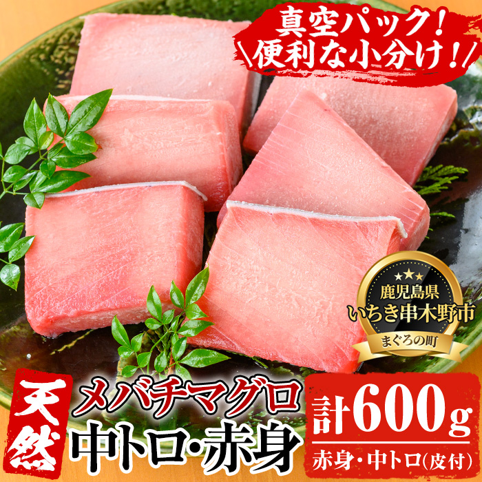 旬の天然メバチまぐろ中トロ・赤身の厳選セット(合計約600g)！お刺身 海鮮丼 マグロ丼 海鮮 魚介 鮪 まぐろ 柵 中トロ 赤身 【海鮮まぐろ家】【00-041-02】