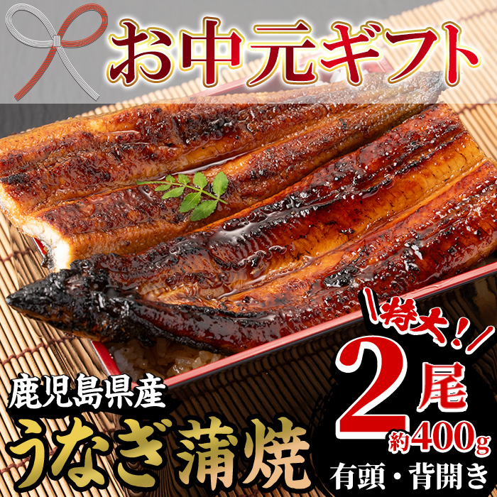 ＜2026年お中元ギフト＞国産うなぎ(鹿児島県産うなぎ)蒲焼(特大サイズ2尾・約400g) 国産 国産魚 九州産 鹿児島県産 魚 魚介 鰻 うなぎ ウナギ 蒲焼 蒲焼き 惣菜 冷凍 プレゼント 贈答品【南竹鰻加工】【00-025-16-R8OC】