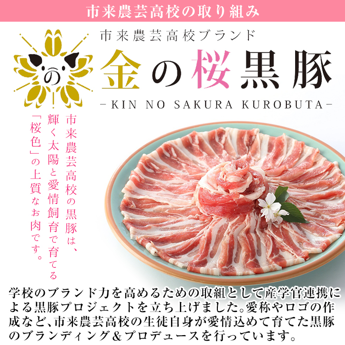 鹿児島県産黒豚使用！煮込みハンバーグ・チーズインハンバーグセット(合計12個・各180g×6個) 豚 豚肉 肉 鹿児島 国産 黒豚 調理済 レンジ 時短 調理 ハンバーグ 惣菜 チーズ チーズインハンバーグ【エーエフ企画】【00-057-38】