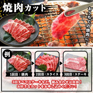 ＜定期便・全3回＞カットを選べる！鹿児島県産黒毛和牛サーロイン半頭分(3kg×3回・総計9kg) 鹿児島県産 尾崎牧場 A4等級以上 黒毛和牛 和牛 牛肉 お肉 サーロイン ステーキ スライス すき焼き しゃぶしゃぶ 焼肉 半頭分 定期便 冷凍【バクロ】【00-030-17-TK】