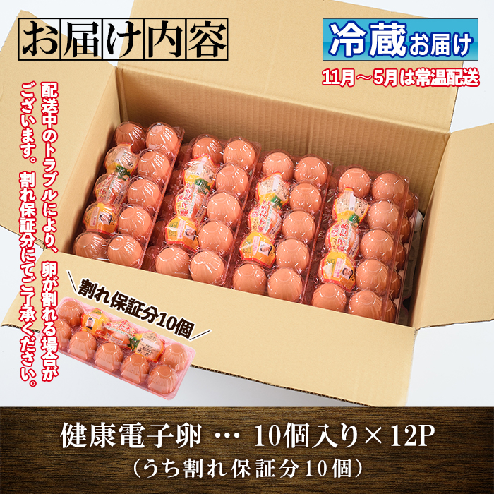 《数量限定》鹿児島県産！健康電子卵(計120個・10個入り×12P) 国産 九州産 たまご タマゴ 玉子 生たまご 親鳥 親鶏 新鮮 鶏卵 卵黄 常温 小分け パック 朝ごはん 卵かけごはん TKG おかず 卵焼き 体質改善 割れ保障 安心 安全【峯元養鶏】【00-095-04】