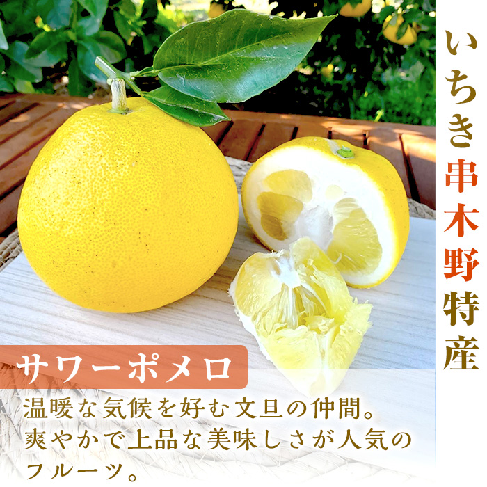 ＜2026年お中元ギフト＞鹿児島県産サワーポメロをふんだんに使用！まるっとポメロ(2個) スイーツ バウムクーヘン ケーキ お菓子 洋菓子 手作り 冷蔵 贈答用 ギフト【菓子処 菊屋】【00-014-07-R8OC】