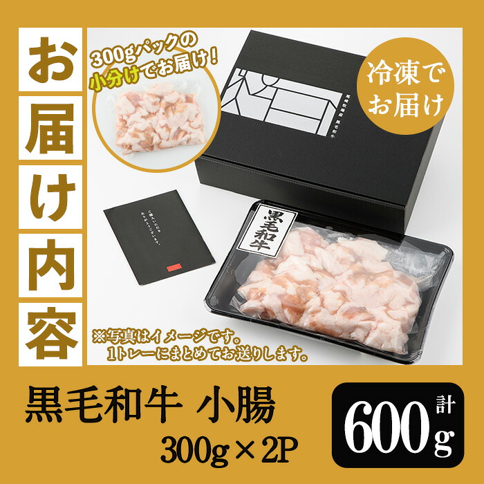 ＜2026年お歳暮ギフト＞鹿児島県産黒毛和牛 小腸(300g×2P・計600g) しょうちょう ホルモン もつ鍋 焼肉 鍋 焼肉用 焼き肉 バーベキュー 冷凍 牛肉 肉 もつ モツ 内臓 国産牛 モツ鍋 もつなべ 小分け 九州 国産 贈答品 ギフト【バクロ】【	00-030-27-R8OS】