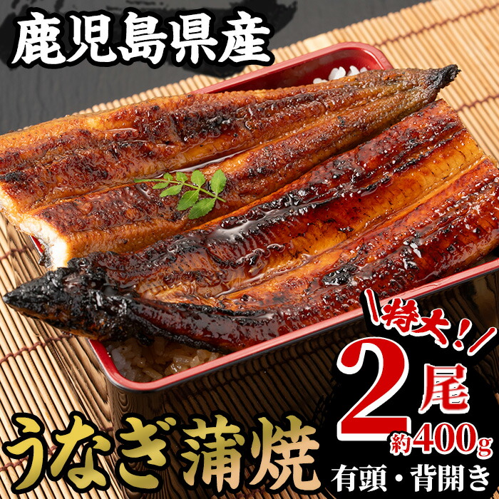 ＜数量限定＞国産うなぎ(鹿児島県産うなぎ)蒲焼(特大サイズ2尾・約400g) 国産 国産魚 九州産 鹿児島県産 魚 魚介 鰻 うなぎ ウナギ 蒲焼 蒲焼き 惣菜 冷凍【南竹鰻加工】【00-025-16-90】