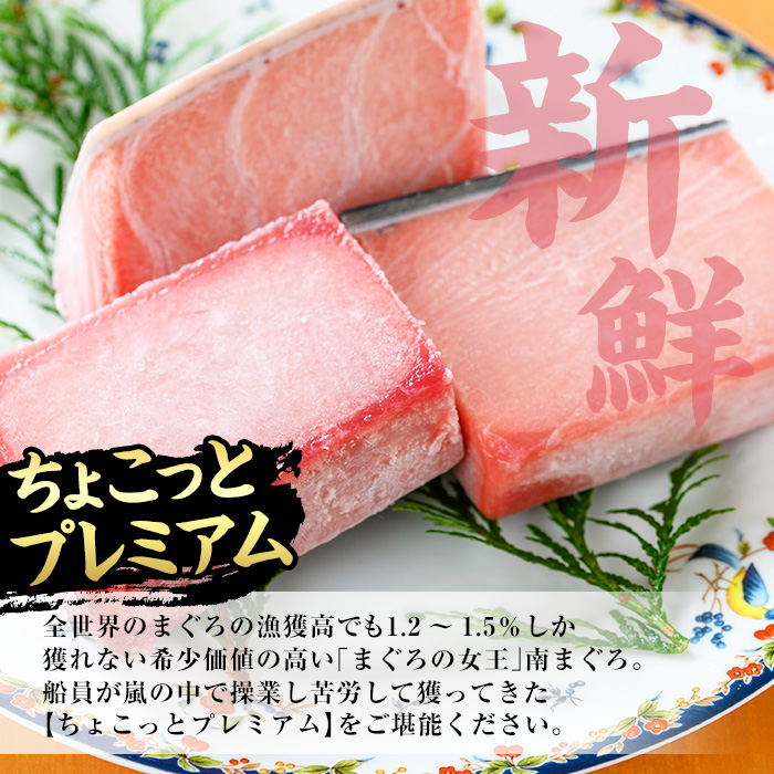 ＜2026年お中元ギフト＞《ちょこっとプレミアム》天然南まぐろフルセット(計300g) 100g柵でお届け！肉厚のお刺身や海鮮丼に！まぐろ 鮪 魚介 刺し身 刺身 さしみ 海鮮丼 南マグロ 小分け 便利 冷凍 新鮮【海鮮まぐろ家】【00-041-09-R8OC】