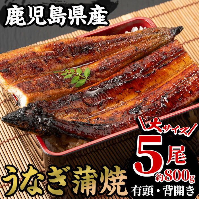 国産うなぎ(鹿児島県産うなぎ)蒲焼(大サイズ5尾・計約800g・タレ付き) 国産 国産魚 九州産 鹿児島県産 魚 魚介 鰻 うなぎ ウナギ 蒲焼 蒲焼き 惣菜 冷凍【南竹鰻加工】【00-025-13】