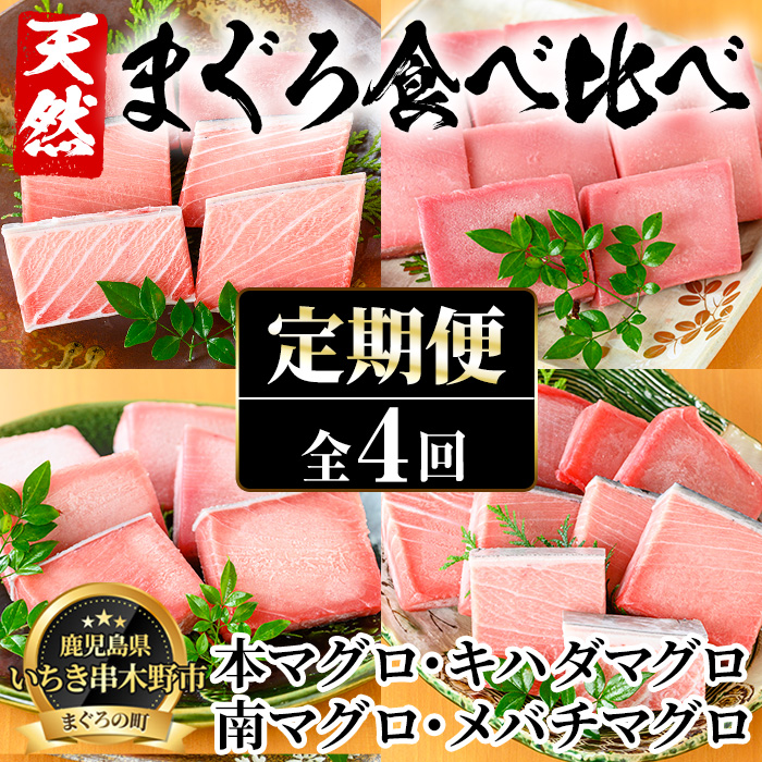 ＜定期便・全4回(毎月)＞厳選天然まぐろ食べ比べセット！大トロ・中トロ・赤身(総量3.2kg)まぐろ 鮪 刺身 海鮮丼 海鮮 魚介 さかな 頒布会【海鮮まぐろ家】【00-041-16-TK】