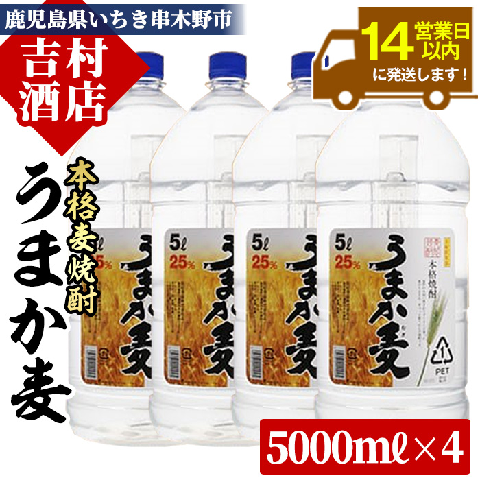 本格麦焼酎「うまか麦」(計20L・5L×4本)！国産 九州産 鹿児島 酒 焼酎 麦焼酎 家飲み セット【吉村酒店】【00-003-45】