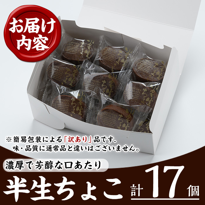 《訳あり》半生ちょこ(計17個) スイーツ バレンタイン ホワイトデー 濃厚 チョコ お菓子 銘菓 冷凍 詰め合わせ 詰合せ 個包装 簡易包装 家庭用 自宅用 洋菓子【菓子処 菊屋】【00-014-03】