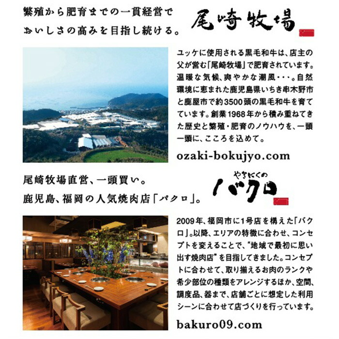 ＜2026年お中元ギフト＞鹿児島県産黒毛和牛 ＜A4等級以上＞サーロインステーキ・特選ロース焼肉用 (2種・合計800g) 牛肉 肉 黒毛和牛 国産 国産牛 九州 鹿児島 鹿児島県産 サーロイン ステーキ ロース ロース肉 焼肉 焼き肉 A4等級以上 冷凍 ギフト【バクロ】【00-030-35-R8OC】