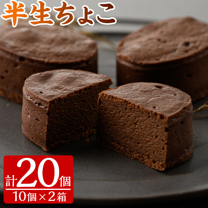 半生ちょこ(計20個) スイーツ 濃厚 チョコ お菓子 冷凍 ギフト 個包装 詰め合わせ 詰合せ 贈答 プレゼント 洋菓子【00-014-01】
