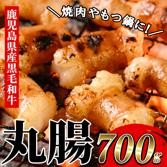 ＜2026年お中元ギフト＞鹿児島県産黒毛和牛 丸腸(約700g) 鹿児島県産 牛肉 肉 国産 牛 まるちょう ホルモン もつ鍋 鍋 モツ 内臓 焼き肉 焼肉 贈答品 ギフト【バクロ】【00-030-12-R8OC】