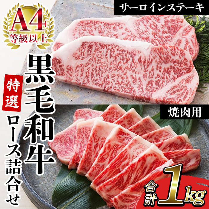 鹿児島県産黒毛和牛 ＜A4等級以上＞サーロインステーキ・特選ロース焼肉用 (2種・合計1kg) 牛肉 肉 黒毛和牛 国産 国産牛 九州 鹿児島 鹿児島県産 サーロイン ステーキ ロース ロース肉 焼肉 焼き肉 A4等級以上 冷凍 ギフト【バクロ】【00-030-36】