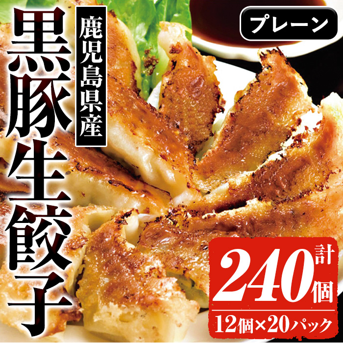 鹿児島黒豚の生餃子(12個×20P・計240個) 黒豚 国産 野菜 おかず おつまみ ぎょうざ ギョウザ 惣菜 冷凍 おかず 弁当 小分け【鹿児島協同食品】【00-008-27】