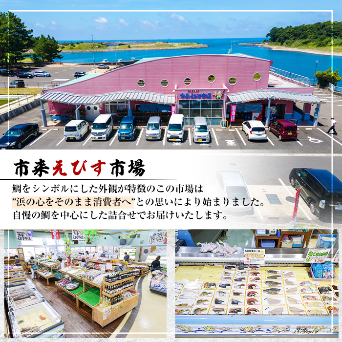 旬の朝獲れ鮮魚コース 4ヵ月定期便！その日獲れたての鮮魚や活魚！漁協だからできる産地直送の定期便【えびす市場】【00-024-04-TK】