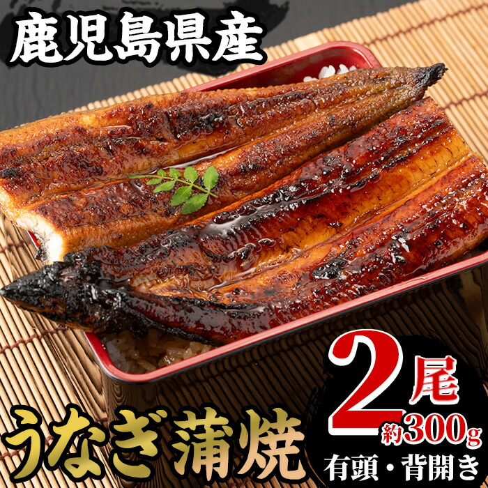 国産うなぎ(鹿児島県産うなぎ)蒲焼2尾(約300g) 国産 国産魚 九州産 鹿児島県産 魚 魚介 鰻 うなぎ ウナギ 蒲焼 蒲焼き 惣菜 冷凍 【南竹鰻加工】【00-025-03】