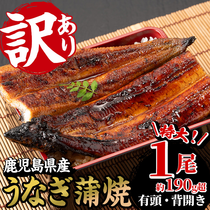 ＜訳あり・規格外＞国産うなぎ(鹿児島県産うなぎ)蒲焼(特大サイズ1尾・約190g超) タレ付き 国産 国産魚 九州産 鹿児島県産 魚 魚介 鰻 うなぎ ウナギ 蒲焼 蒲焼き 惣菜 冷凍 真空包装 簡易包装 贈答品 ギフト【南竹鰻加工】【00-025-19-90】