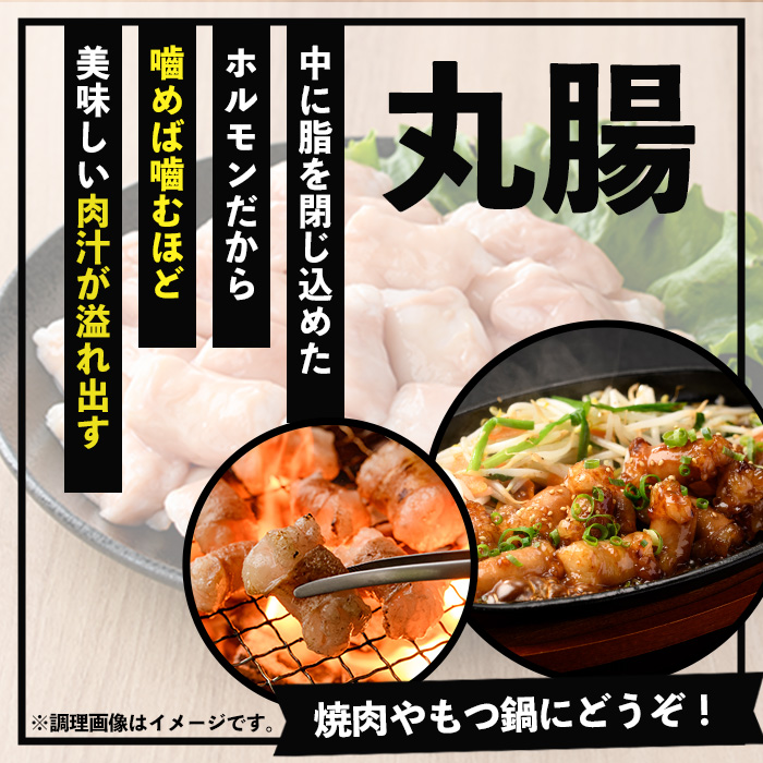 【厳選！】鹿児島県産黒毛和牛 丸腸 (計700g) 冷凍 まるちょう ホルモン もつ鍋 焼肉 牛肉 肉 もつ モツ 内臓 国産牛 モツ鍋 もつなべ 九州 国産 ギフト 黒毛和牛【バクロ】【00-030-12】
