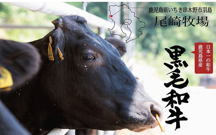＜2026年お歳暮ギフト＞鹿児島県産黒毛和牛100%ミンチ(約350g×2パック・約700g) 鹿児島県産 ミンチ 牛肉 スネ肉 すね肉 挽肉 挽き肉 ひき肉 国産 ミートソース ハンバーグ ギフト 贈答用 贈り物【バクロ】【00-030-10-R8OS】