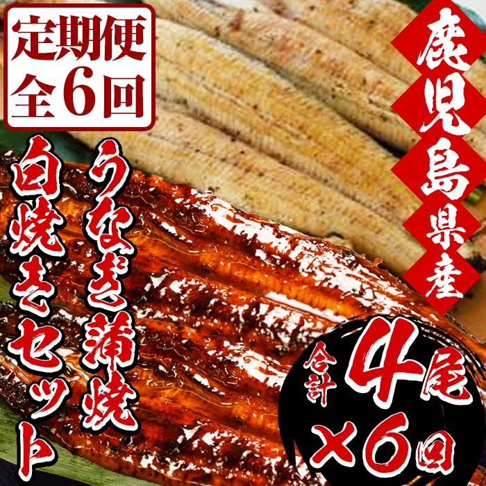 ＜定期便・全6回(毎月)＞国産うなぎ(鹿児島県産うなぎ)の食べ比べ堪能セット(うなぎ蒲焼2尾と白焼き2尾×6回)！国産 国産魚 九州産 鹿児島県産 魚 魚介 鰻 うなぎ ウナギ 蒲焼 蒲焼き 惣菜 冷凍 定期 頒布会【南竹鰻加工】【00-025-18-TK】