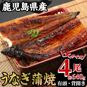 国産うなぎ(鹿児島県産うなぎ)蒲焼(4尾・約640g) 国産 国産魚 九州産 鹿児島県産 魚 魚介 鰻 うなぎ ウナギ 蒲焼 蒲焼き 惣菜 冷凍【南竹鰻加工】【00-025-17】