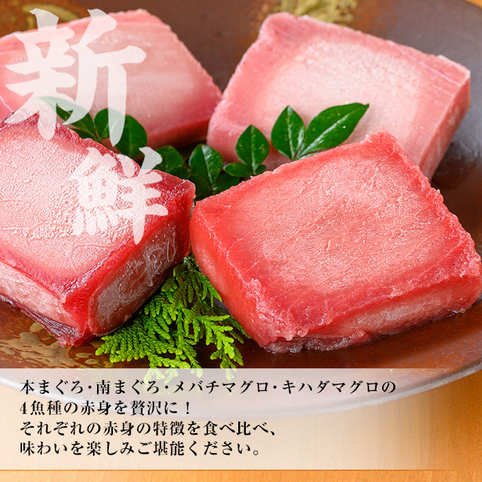 天然まぐろ4魚種赤身食べ比べセット(計400g) 100g柵でお届け！肉厚のお刺身や海鮮丼に！まぐろ 鮪 魚介 刺し身 刺身 さしみ 海鮮丼 本まぐろ 南まぐろ メバチまぐろ キハダまぐろ 小分け 便利 冷凍 新鮮【海鮮まぐろ家】【00-041-12】
