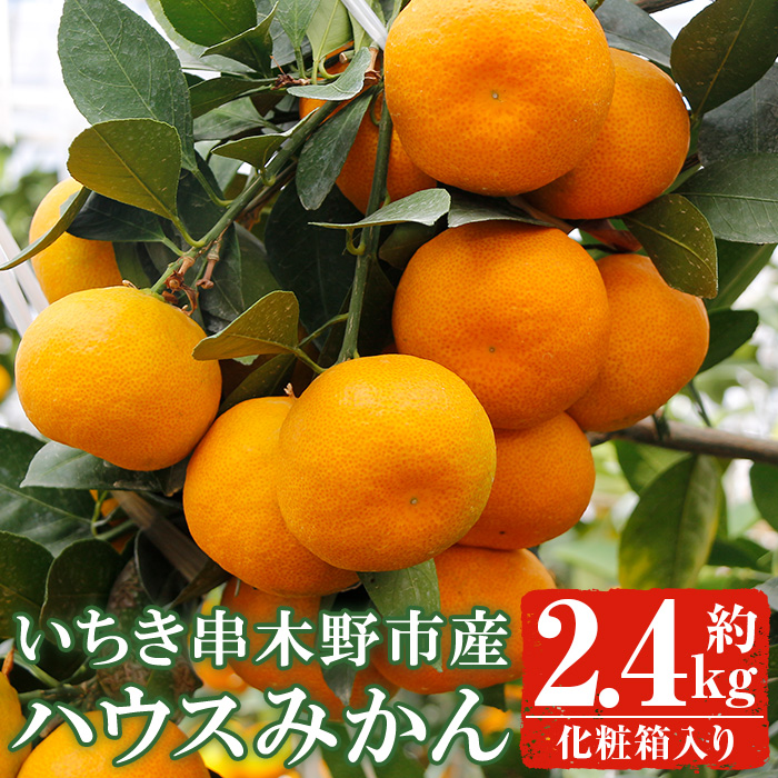 ＜先行予約受付中！2026年7月上旬頃より順次発送予定＞安心安全！JAさつま日置産 ハウスみかん(約2.4kg化粧箱) 鹿児島県産 ハウスみかん ミカン みかん 蜜柑 柑橘 果物 果実 フルーツ 旬 予約【00-039-01】