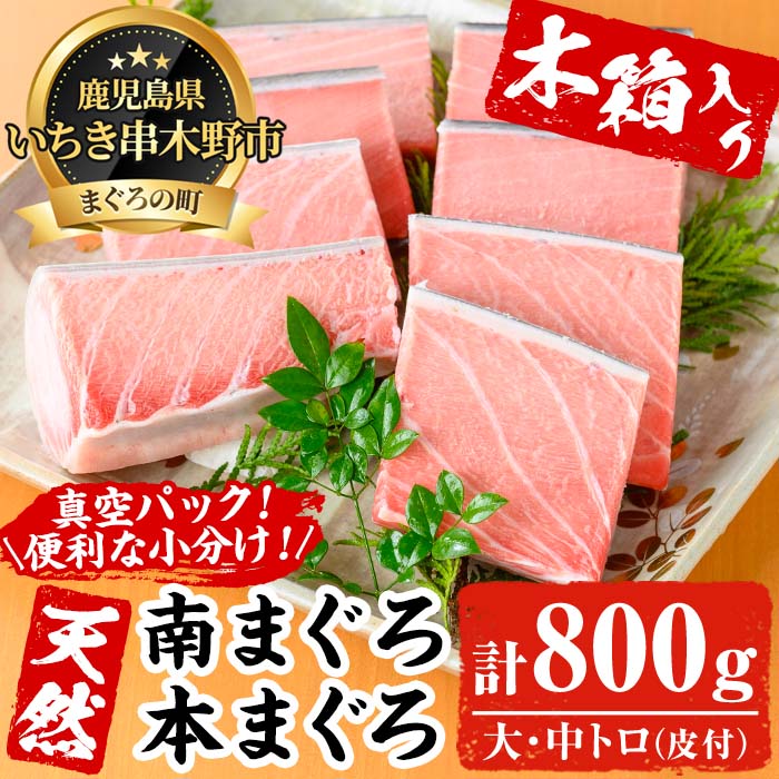 《木箱入り》究極の天然高級南マグロ・本マグロ (大トロ・中トロ)セット(各約200g・合計800g超) まぐろ 鮪 本まぐろ 南まぐろ 魚介 海鮮 ギフト【海鮮まぐろ家】【00-041-06】