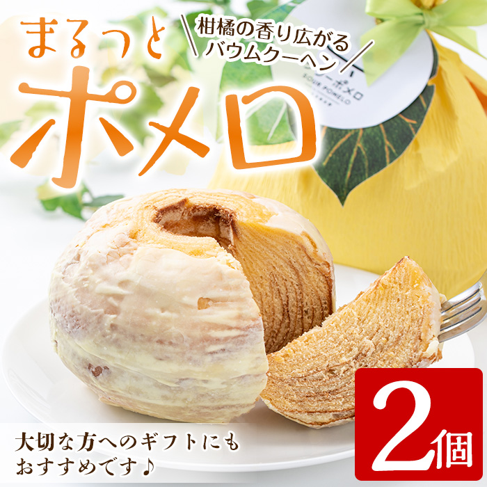＜数量限定＞鹿児島県産サワーポメロをふんだんに使用！まるっとポメロ(2個) 国産 九州産 スイーツ バウムクーヘン ケーキ お菓子 洋菓子 手作り 常温 贈答用 ギフト【菓子処 菊屋】【00-014-07】