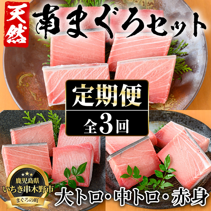 ＜定期便・全3回(毎月)＞極上天然南まぐろセット！大トロ・中トロ・赤身・ネギトロ(総量1.4kg)まぐろ 鮪 刺身 海鮮丼 海鮮 魚介 タタキ さかな 柵 南マグロ【海鮮まぐろ家】【00-041-07-TK】