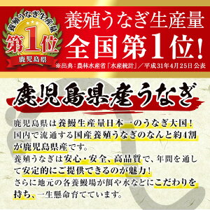 国産うなぎ(鹿児島県産うなぎ)肝串蒲焼(計45本・5本×9P) タレ付き 国産 国産魚 九州産 鹿児島県産 魚 魚介 鰻 うなぎ ウナギ 蒲焼 蒲焼き 惣菜 冷凍 串 肝 内臓 贈答品 ギフト【南竹鰻加工】【00-025-05】