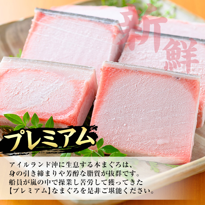 《プレミアム》天然本まぐろフルセット(計600g) 100g柵でお届け！肉厚のお刺身や海鮮丼に！まぐろ 鮪 魚介 刺し身 刺身 さしみ 海鮮丼 本まぐろ 本マグロ 小分け 便利 冷凍 新鮮【海鮮まぐろ家】【00-041-14】
