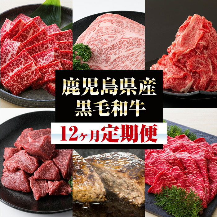 ＜定期便・全12回＞黒毛和牛づくし12ヶ月定期便！サーロインステーキやロース、切り落とし、ブロック、ハンバーグやもつ鍋など！牛肉を1年間定期便でお届け！【バクロ】【00-030-13-TK】