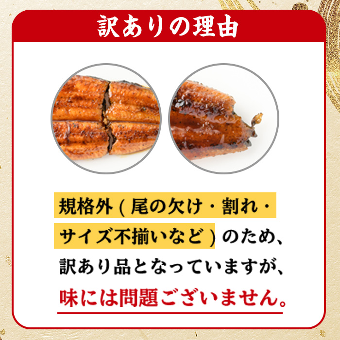 ＜訳あり・規格外＞国産うなぎ(鹿児島県産うなぎ)蒲焼(特大サイズ1尾・約190g超) タレ付き 国産 国産魚 九州産 鹿児島県産 魚 魚介 鰻 うなぎ ウナギ 蒲焼 蒲焼き 惣菜 冷凍 真空包装 簡易包装 贈答品 ギフト【南竹鰻加工】【00-025-19-90】