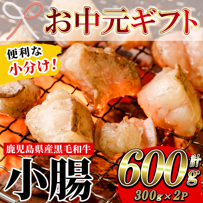 ＜2026年お中元ギフト＞鹿児島県産黒毛和牛 小腸(300g×2P・計600g) しょうちょう ホルモン もつ鍋 焼肉 鍋 焼肉用 焼き肉 バーベキュー 冷凍 牛肉 肉 もつ モツ 内臓 国産牛 モツ鍋 もつなべ 小分け 九州 国産 贈答品 ギフト【バクロ】【00-030-27-R8OC】