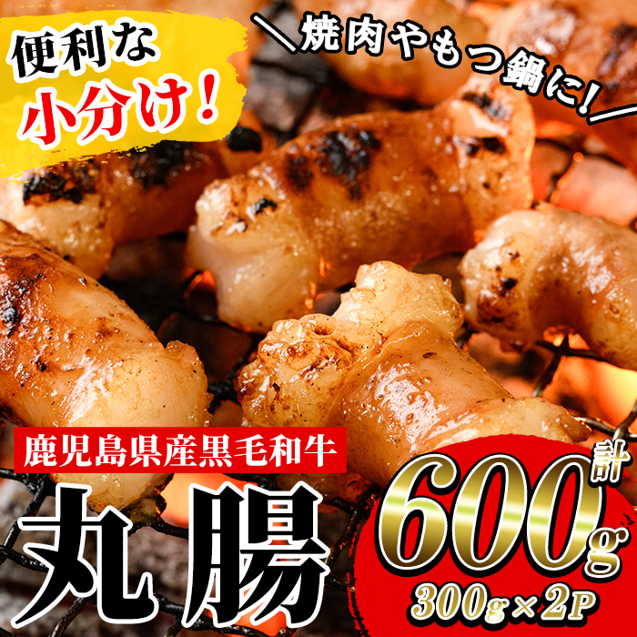 ＜2026年お中元ギフト＞鹿児島県産黒毛和牛 丸腸(300g×2P・計600g)！牛肉 肉 国産 牛 まるちょう ホルモン もつ鍋 鍋 モツ 内臓 小分け 焼き肉 焼肉用 贈答品 ギフト【バクロ】【00-030-26-R8OC】