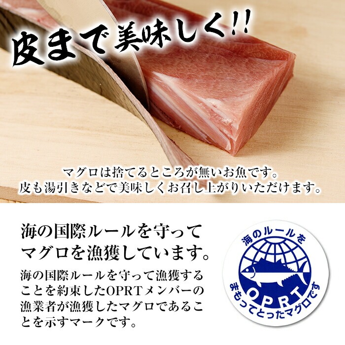 【定期便】南マグロ刺身用柵(8本セット×12ヶ月) 希少な南まぐろの大トロ・上トロ・中トロ・赤身を毎月お届け！総合計約20kg以上！まぐろ 鮪 南まぐろ 南マグロ 大とろ 中とろ 上とろ 魚介 刺し身 刺身 さしみ 海鮮丼 小分け 便利 冷凍 新鮮【新洋水産】【00-019-08-TK】