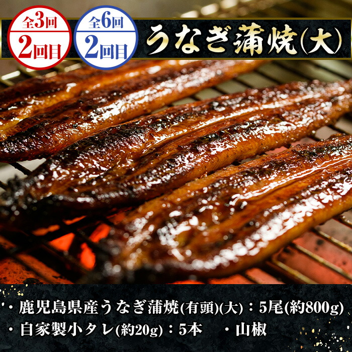 ＜定期便(毎月)・全3回＞いちき串木野プレミアム定期便(まぐろ・鰻・牛肉) 鹿児島 マグロ 鮪 本まぐろ 本マグロ うなぎ 蒲焼き 鹿児島黒牛 ステーキ すき焼き サーロイン ウデスライス【いちき串木野観光物産センター】【00-016-03-TK】