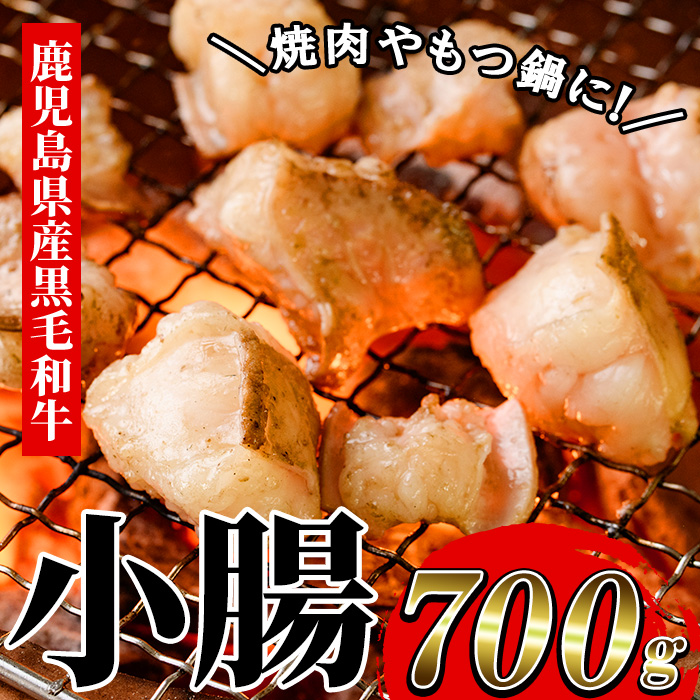 鹿児島県産黒毛和牛の小腸 ホルモン(計700g) しょうちょう ホルモン もつ鍋 焼肉 鍋 焼肉用 焼き肉 バーベキュー 冷凍 牛肉 肉 もつ モツ 内臓 国産牛 モツ鍋 もつなべ 九州 国産 ギフト 黒毛和牛 【バクロ】【00-030-08】