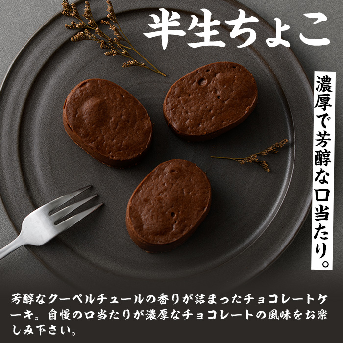 《訳あり》半生ちょこ(計17個) スイーツ バレンタイン ホワイトデー 濃厚 チョコ お菓子 銘菓 冷凍 詰め合わせ 詰合せ 個包装 簡易包装 家庭用 自宅用 洋菓子【菓子処 菊屋】【00-014-03】