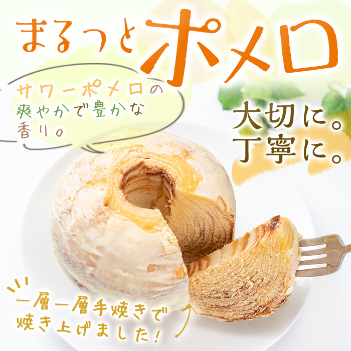 ＜数量限定＞鹿児島県産サワーポメロをふんだんに使用！まるっとポメロ(2個) 国産 九州産 スイーツ バウムクーヘン ケーキ お菓子 洋菓子 手作り 常温 贈答用 ギフト【菓子処 菊屋】【00-014-07】